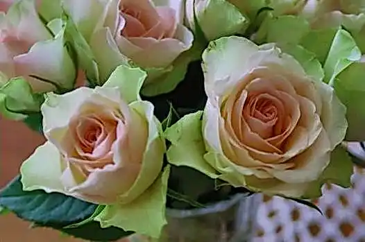 Sykaaa официальный сайт 9bbe7b